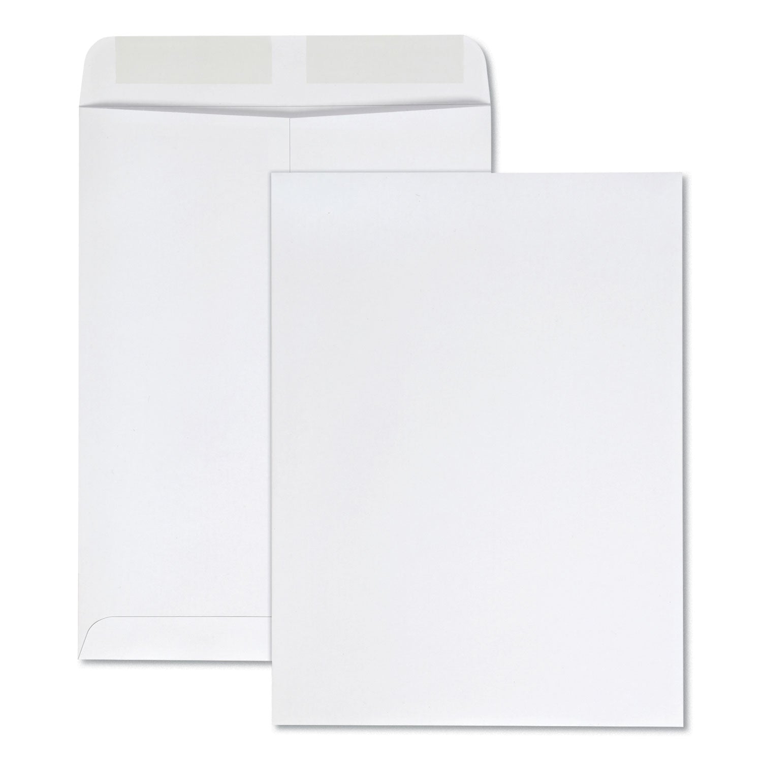 Quality Park Catalog Envelope | #10.5 White