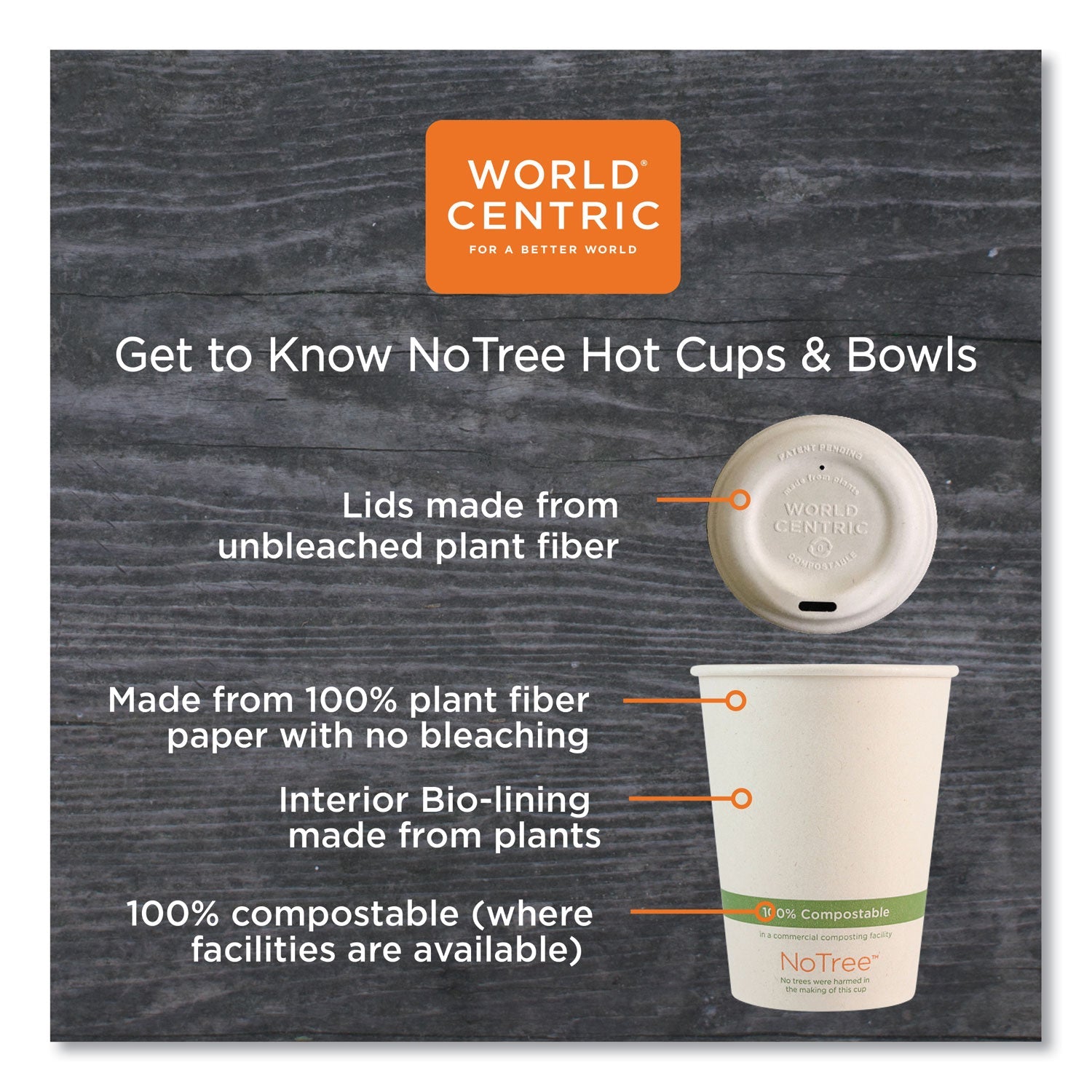 World Centric® No Tree Paper Bowls, 12 oz, 4.4" Diameter x 2.5" h, Natural, Sugarcane, 500/Carton - Bloom Skins