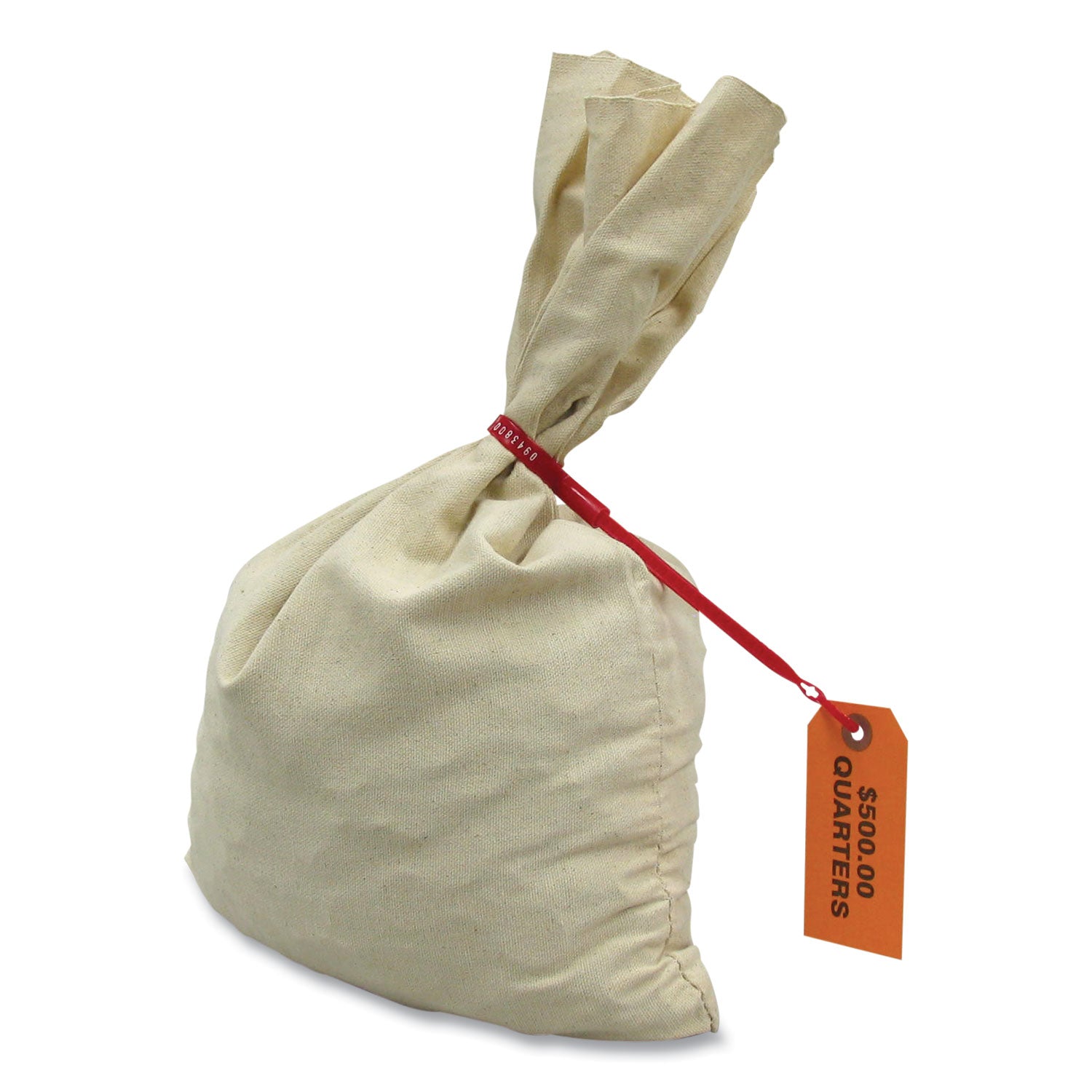Canvas Coin Transit Bag | 12x19 Reusable