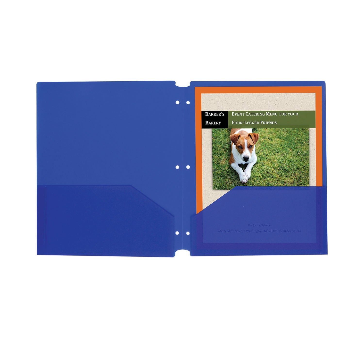 Two-Pocket Heavyweight Poly Folder | Blue, 25/box
