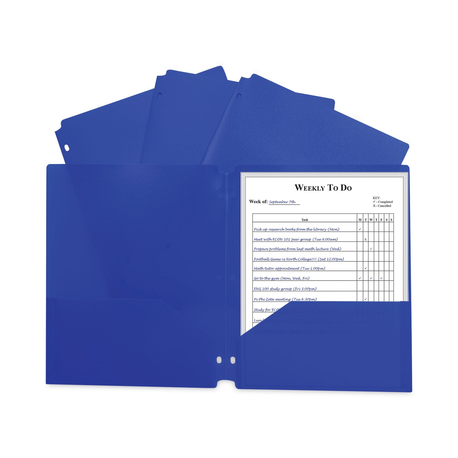 Two-Pocket Heavyweight Poly Folder | Blue, 25/Box