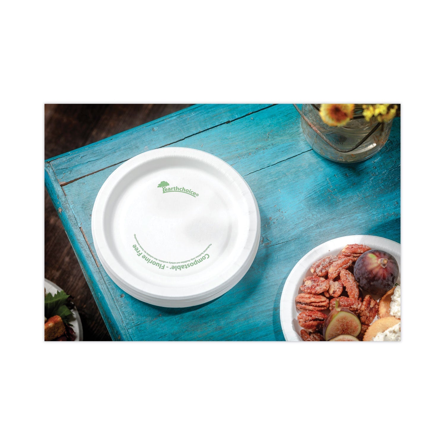 Pactiv Evergreen EarthChoice Pressware Compostable Dinnerware, Plate, Paper, 9" dia, White, 450/Carton