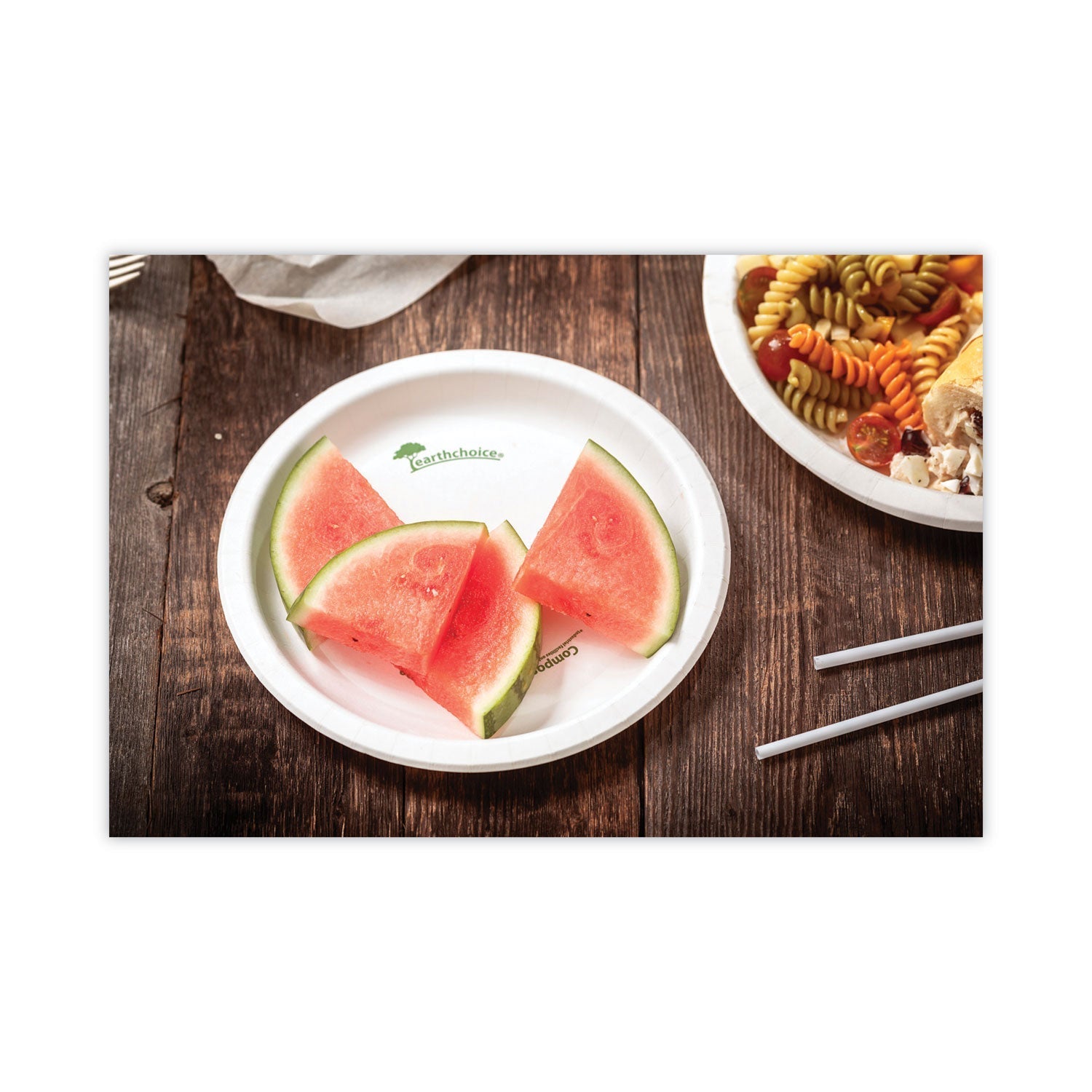Pactiv Evergreen EarthChoice Pressware Compostable Dinnerware, Plate, Paper, 9" dia, White, 450/Carton