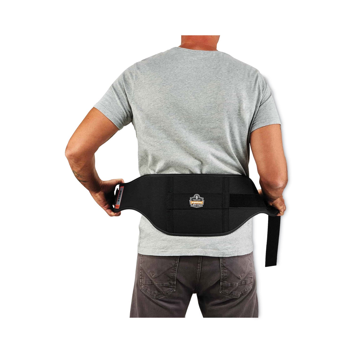 ergodyne® ProFlex 1500 Weight Lifters Style Back Support Belt, X-Large, 38" to 42" Waist, Black