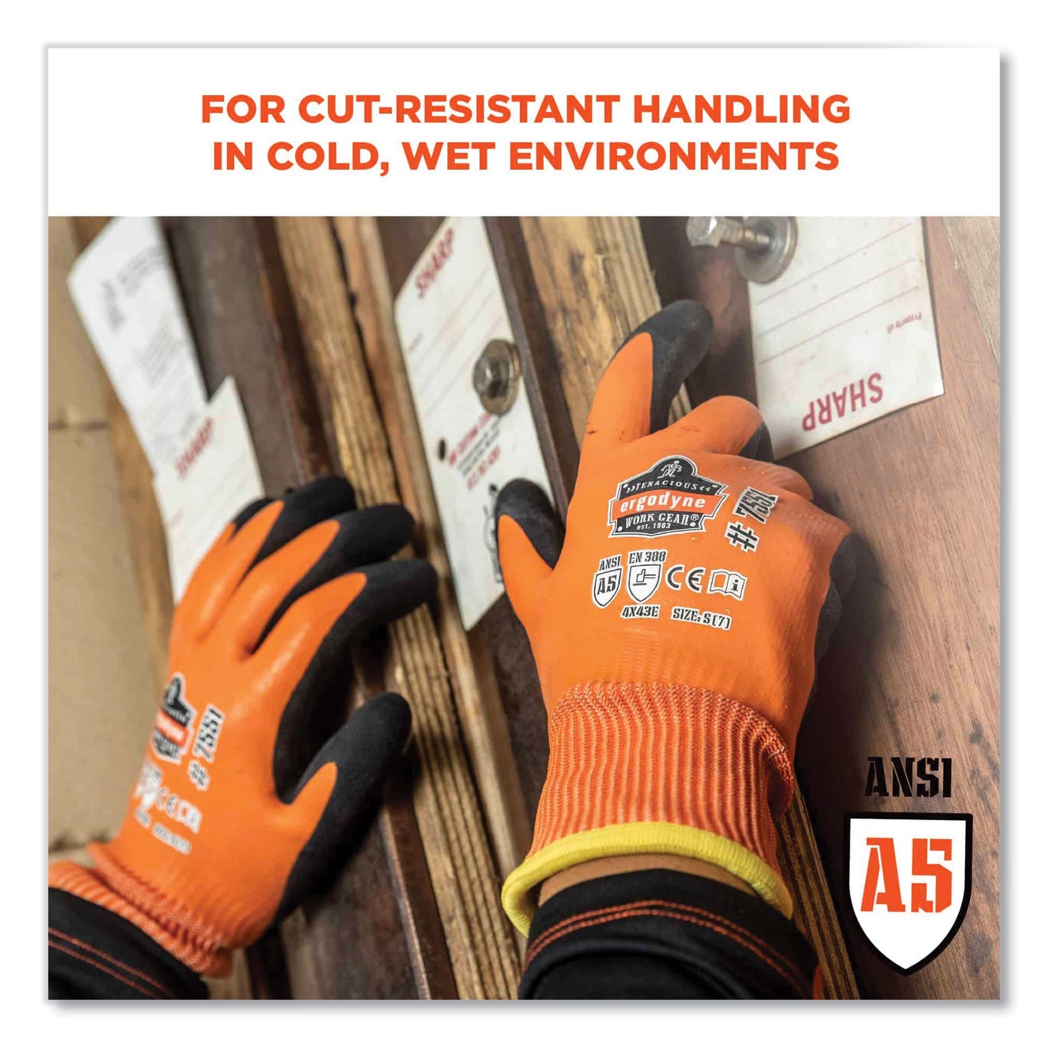 ergodyne® ProFlex 7551 ANSI A5 Coated Waterproof CR Gloves, Orange, 2X-Large, Pair - Bloom Skins