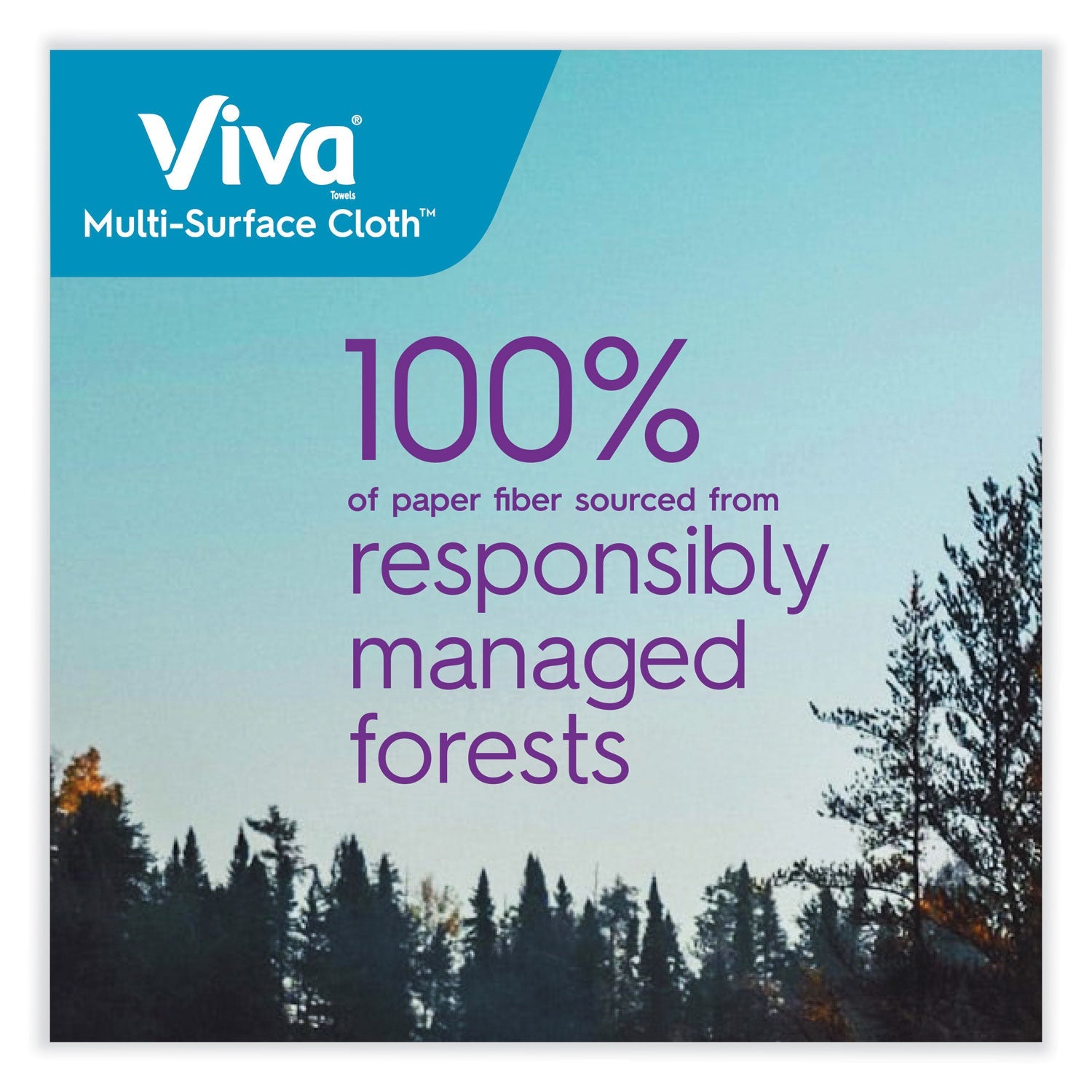 Viva® Multi-Surface Cloth Choose-A-Sheet Kitchen Roll Paper Towels 2-Ply, 11 X 5.9, White, 83/roll, 6 Rolls/pack, 4 Packs/carton