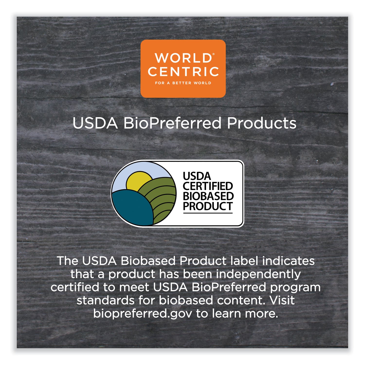 World Centric® Fiber Plates, Paper, 10.1" dia, Natural, 800/Carton - Bloom Skins