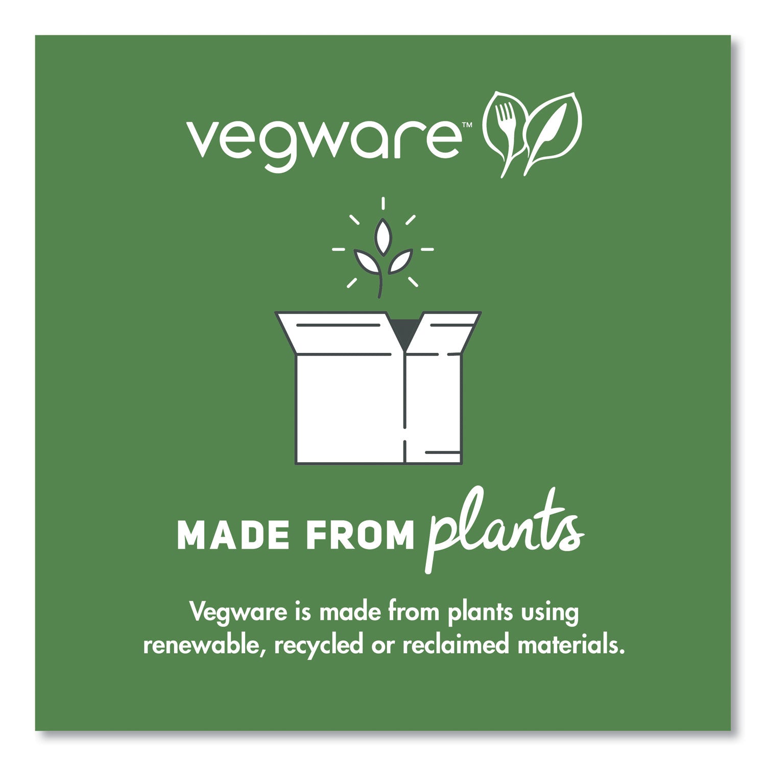 Vegware™ Nourish Molded Fiber Tableware, Compostable, Platter, Sugarcane, 8 x 10, White, 500/Carton