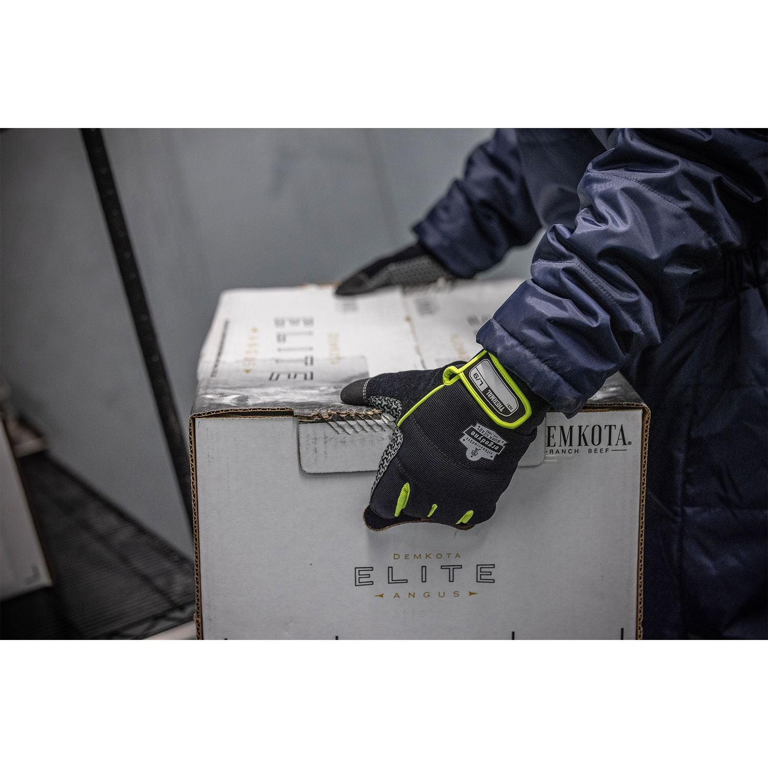 ergodyne® ProFlex 850 Insulated Freezer Gloves, Black, 2X-Large, Pair